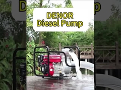 Pompa centrifuga auto-primabile per il pompaggio dell'acqua in agricoltura e motore a benzina